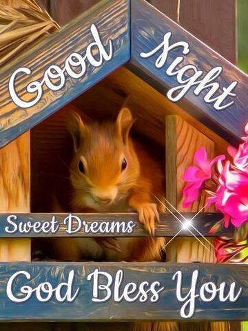 Good-Night-Squirrel-SD-God-Bless
