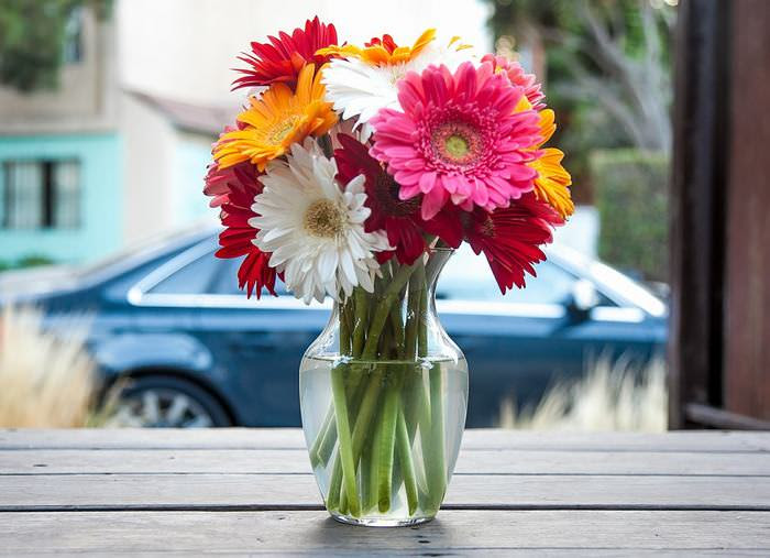 Fresh Flowers