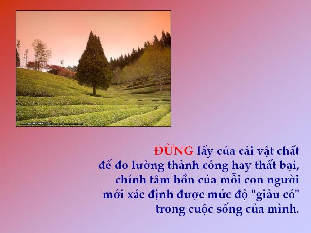 http://www.dongcong.net/photogallery/Cham-Ngon_CS/cs_clip_image031.jpg