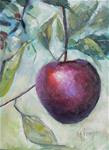 Daily Painting on Sale, Small Oil Painting, Daily Painter, "Apple on the Tree", Carol Schiff artist, - Posted on Wednesday, February 25, 2015 by Carol Schiff