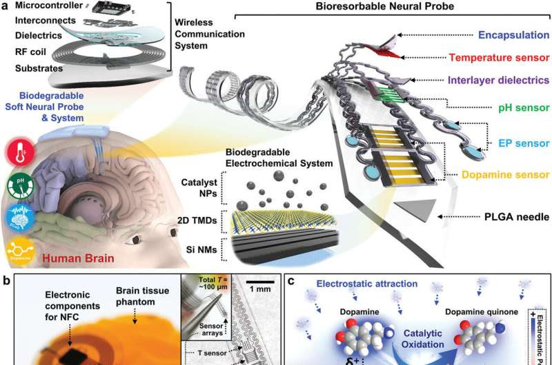 Biodegradable implant could help doctors monitor brain chemistry