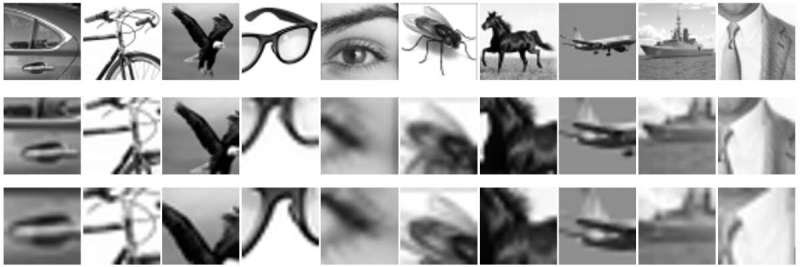 Eye tracking during visual challenges reveals neural encoding