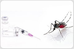Research could contribute to development of therapeutic drug and vaccine against malaria