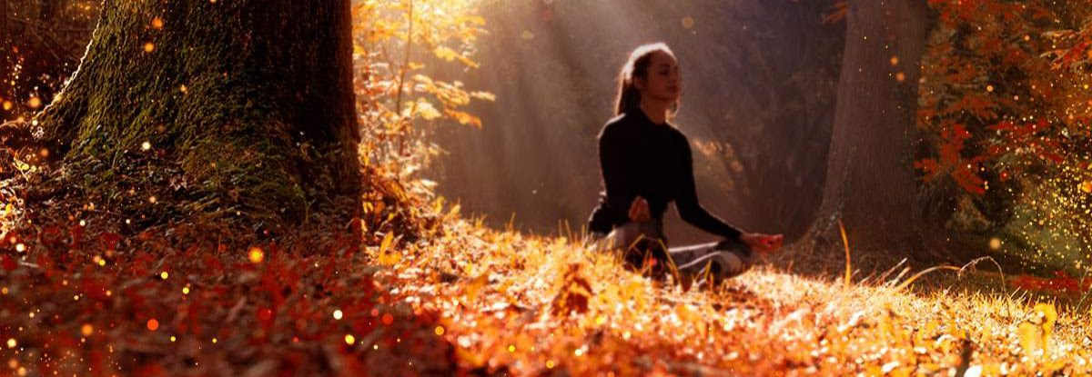 Fall Meditation