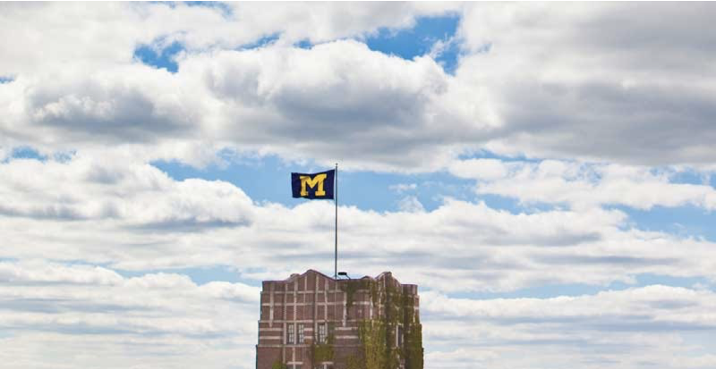 Michigan "M" Flag Image