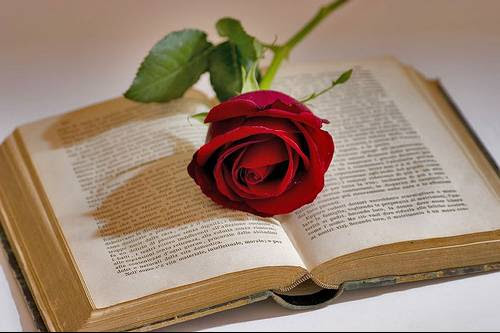 http://edukame.com/wp-content/uploads/2011/04/libro-y-rosa.jpg