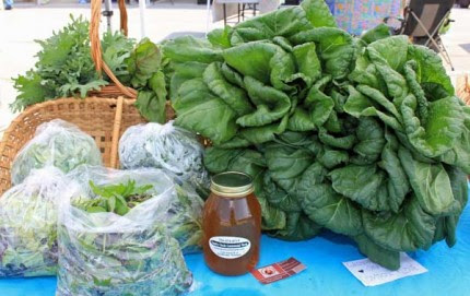As each week progresses, there are more and more vegetables available for purchase at the Bushel Basket Farmers Market each Wednesday. These offerings are from Family Circle Centennial Farm.