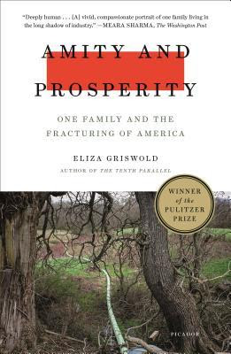 pdf download Amity and Prosperity: One Family and the Fracturing of America