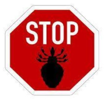 stop sign with head lice image
