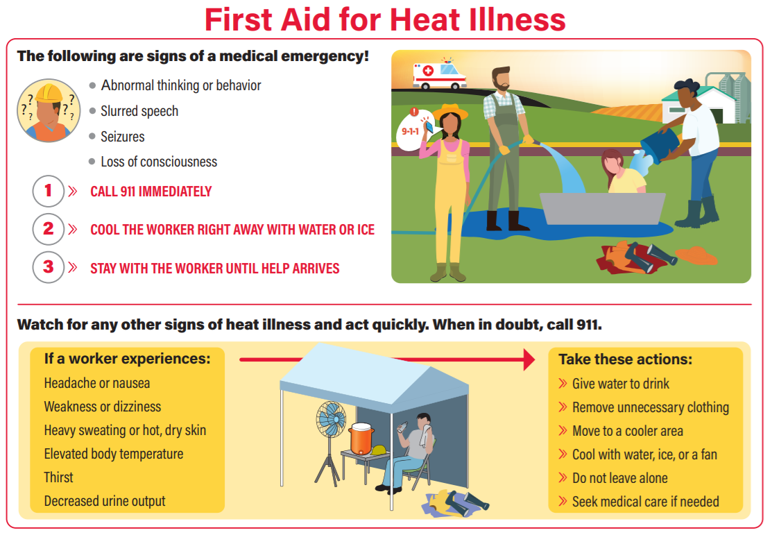 The signs of heat illness