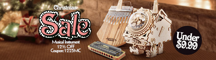 Christmas Sale For Musical Instrument