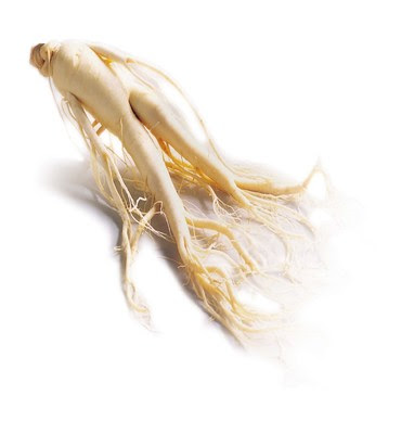 Red Ginseng Red Ginseng