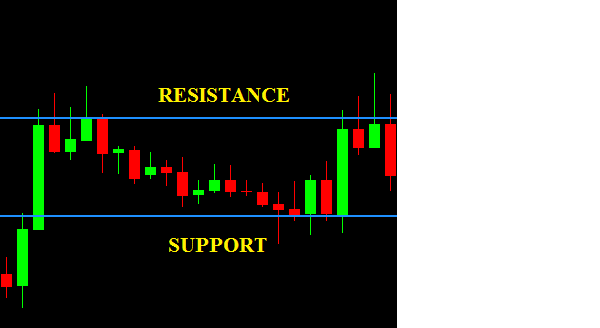 Ilmu forex