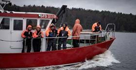 Mussel expedition on the fishing boat M/S Märta, Ljungskile