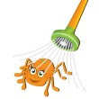 Spinnen- en insectenvanger 