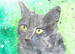 Grey Cat  # 89 - Posted on Monday, March 30, 2015 by Ginny Riggle