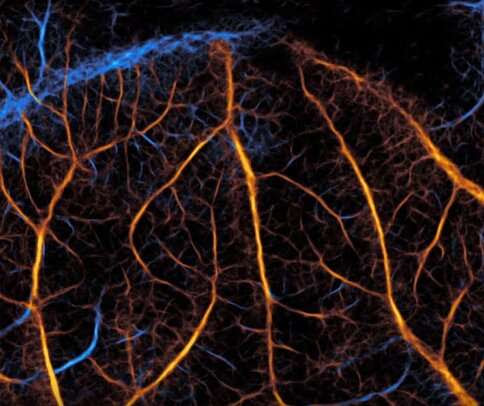 New framework for super-resolution ultrasound