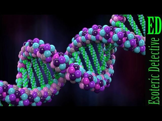 EXPLOSIVE NEW STUDY says human DNA WAS DESIGNED by SUPER INTELLIGENCE and contains a HIDDEN MESSAGE Sddefault