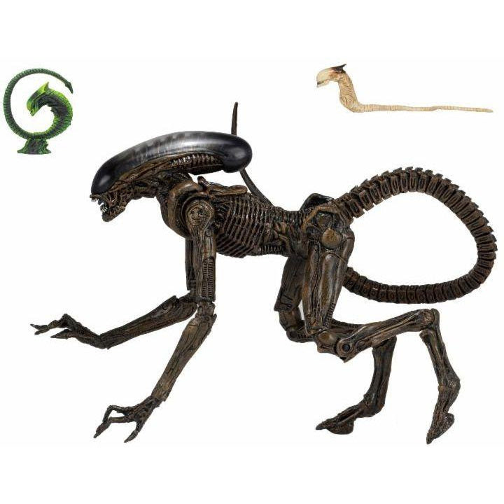 Image of Alien 3 - 7" Scale Action Figure - Ultimate Dog Alien