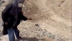 Iran: Regime agents raid dog shelter, kill more than 1,700 dogs