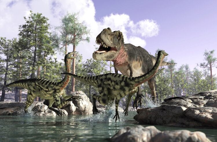 Se cree que la nueva especia es un tipo de tiranosaurio, aunque no se trata del precedesor del T-Rex sino de una evolución en paralelo (Istock)