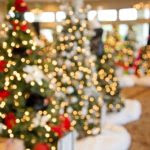 christmas-trees-1042542_960_720