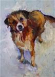 Sweet Doggie, Pet Portraits by Arizona Artist Amy Whitehouse - Posted on Friday, January 9, 2015 by Amy Whitehouse