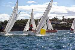 J/24s sailing off Sydney, Australia