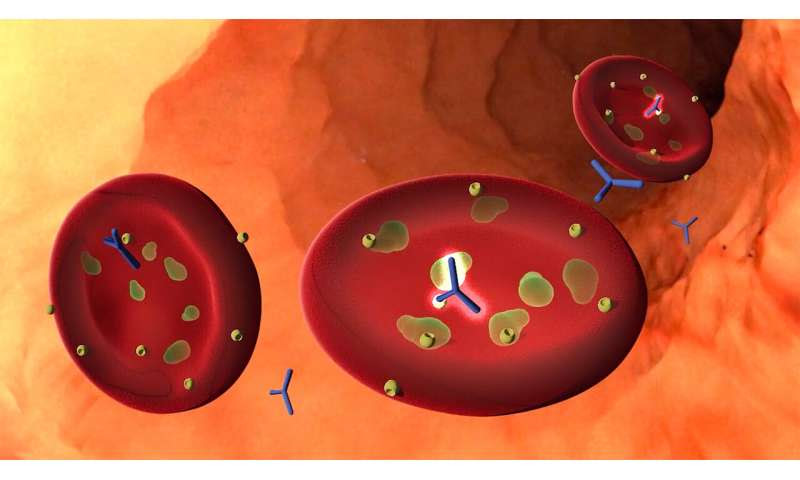 Research reveals a new malaria vaccine candidate