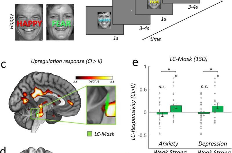 Researchers find new measure to predict stress resilience