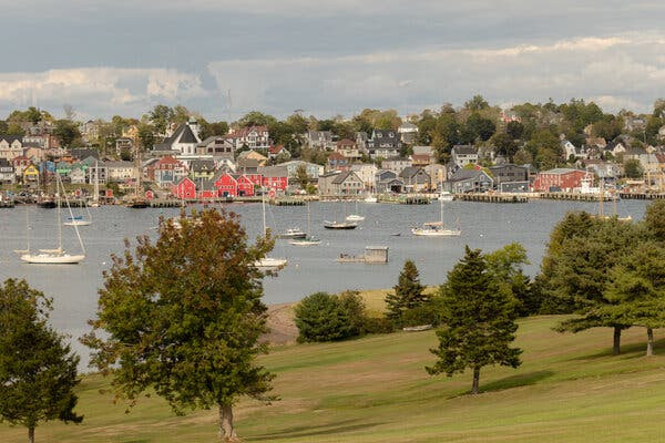 A view of a picturesque community of colorful wooden buildings surrounding a harbor with sailboats. In the foreground is a lawn dotted with cedar trees.