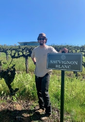 SB Vineyard SB Vineyard