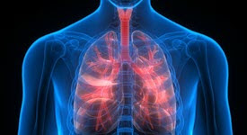 Xray image of a person's chest and lungs
