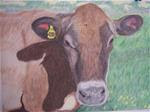 Jersey Cow 1 - Posted on Friday, December 12, 2014 by Elaine Shortall