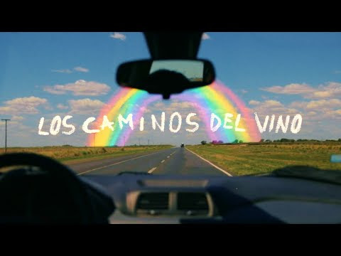 Ver video