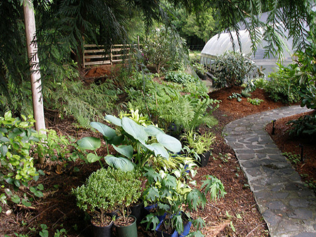 10 Gardening Tips For Companion Planting, Natural Pest Control And Increased Vegetable Yields