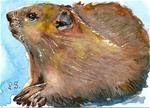 ACEO In Honor of Groundhog Day Feb 2 Rodent Animal Art by Penny StewArt - Posted on Friday, January 30, 2015 by Penny Lee StewArt