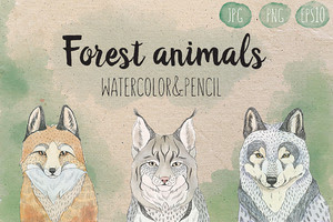 Set of 3 forest animals