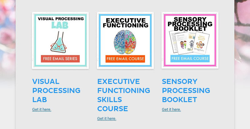 VISUAL PROCESSING LAB
Get it here.
EXECUTIVE FUNCTIONING SKILLS COURSE
Get it here....