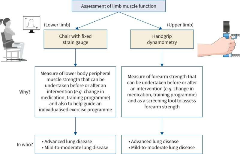 New international guidelines for functional exercise testing will improve cystic fibrosis treatment