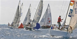 J/24s sailing Mt Gay Rum Barbados series