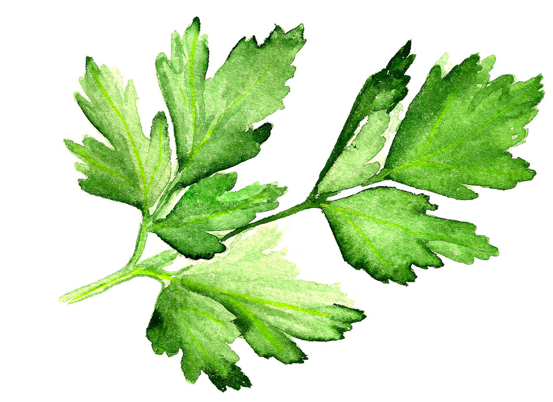 Parsley