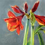 Oil Painting: Amaryllis - Posted on Thursday, March 12, 2015 by Deb Anderson