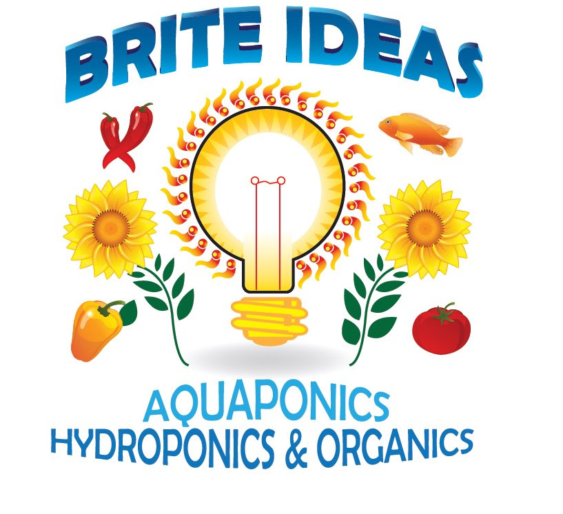 Brite Ideas is hosting a free kombucha brewing class on Saturday.