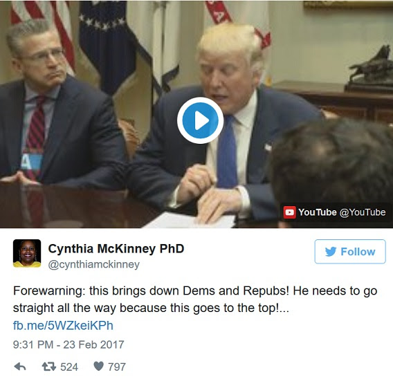 Fmr Congresswoman: If Trump Goes After High-Level Pedophiles, It Will Take Down Dems & Republicans (Video)