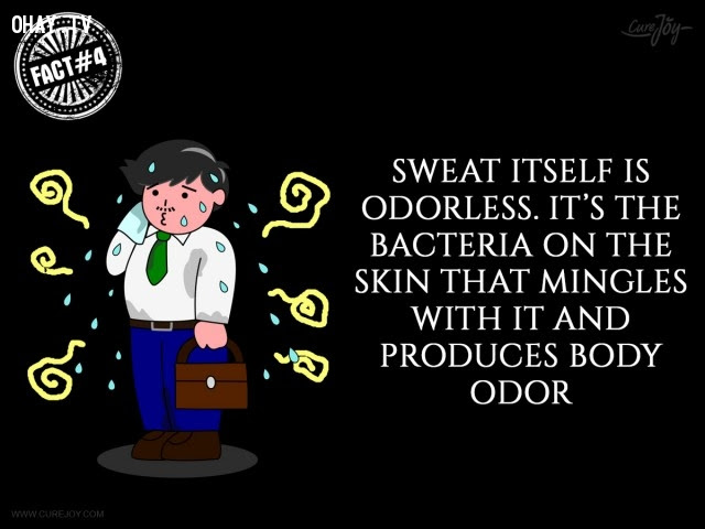 4. Bản thân mồ hôi không có mùi. Các vi khuẩn trên da hòa quyện với nó và tạo ra mùi cơ thể.,mồ hôi,đổ mồ hôi,sự thật thú vị,sự thật kỳ lạ,những điều thú vị trong cuộc sống,có thể bạn chưa biết