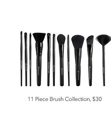 11 Piece Brush Collection, $30