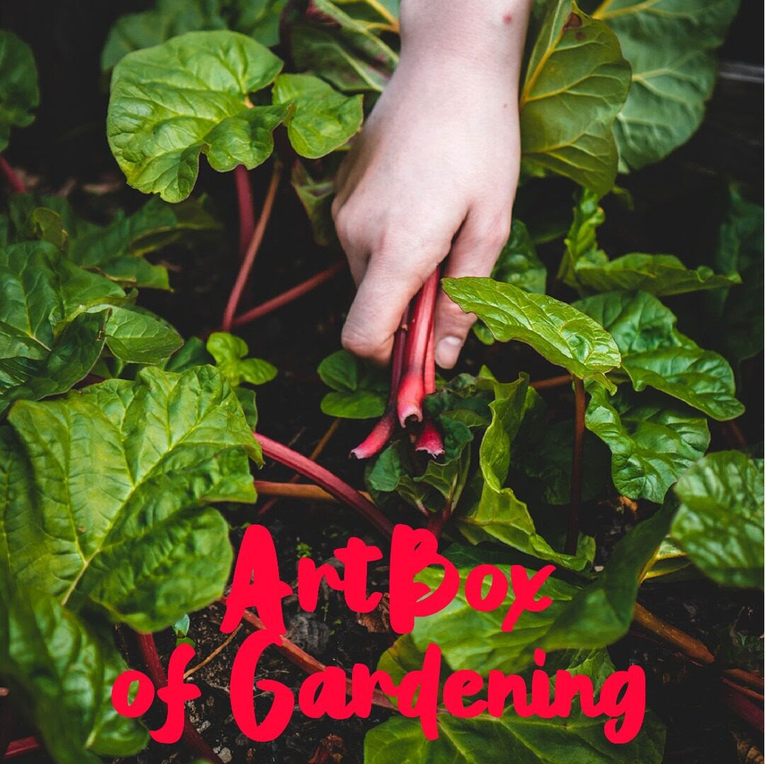 ArtBox_Gardening