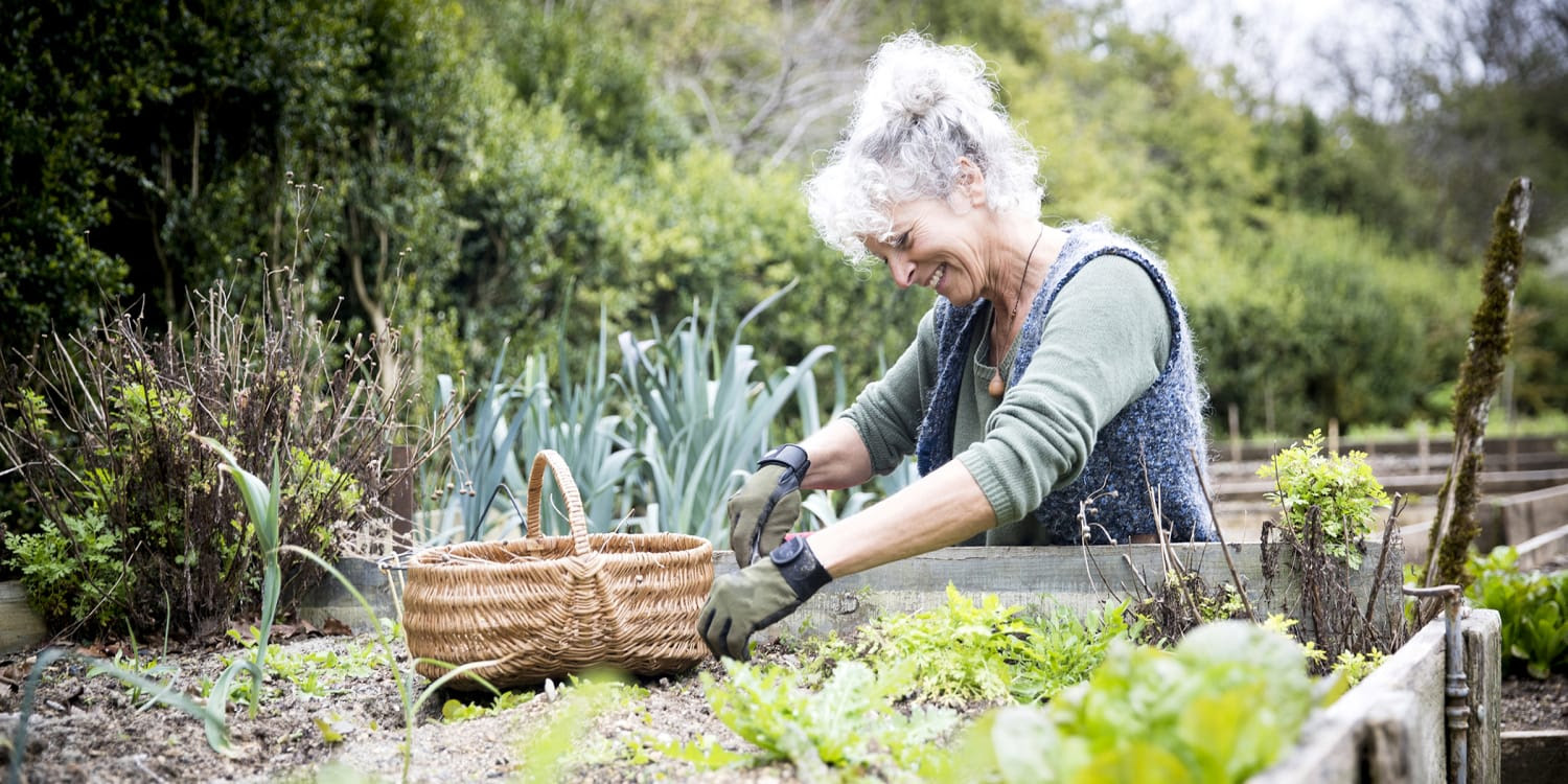 13-2-2023 Today Gardening-mental-health-1x1-mc-230210-88565b