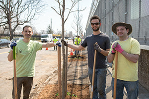 Three men planting a tree on a city street.